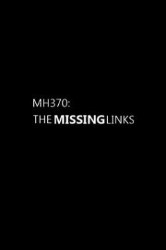 MH370：缺失的环节