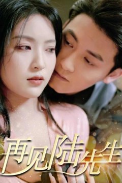 再见陆先生