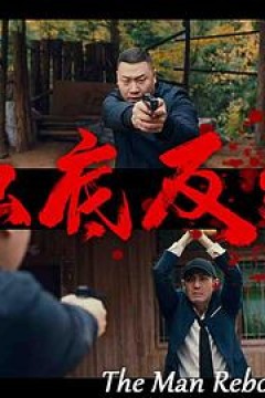 触底反弹2024
