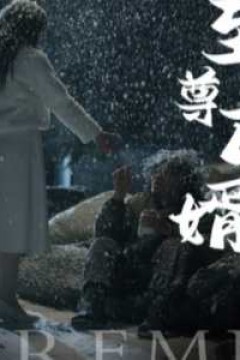 至尊丐婿