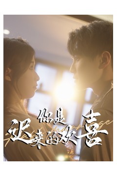 你是迟来的欢喜78集