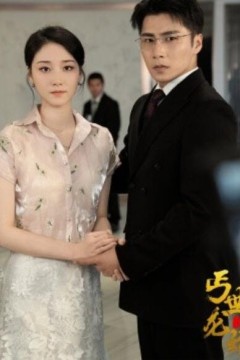 丐世龙婿