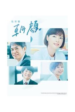 法医朝颜