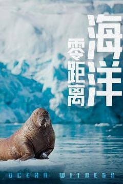 海洋零距离