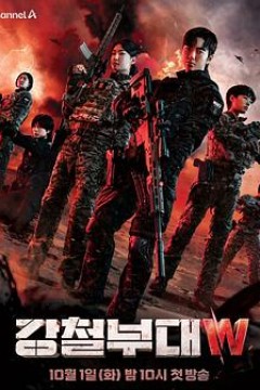 钢铁部队W