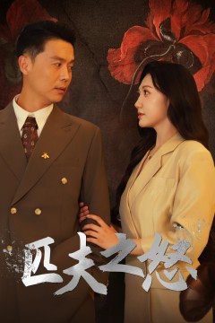 匹夫之怒