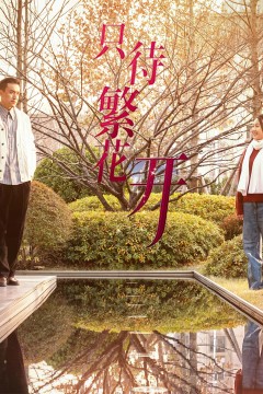 只待繁花开