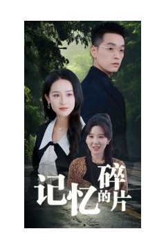 记忆的碎片