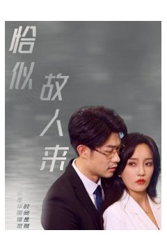 恰似故人来