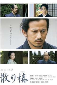 山茶花飘零