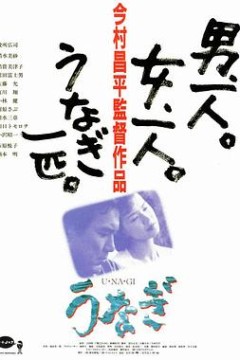 鳗鱼