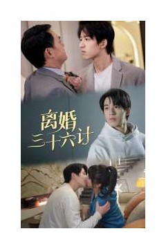 离婚三十六计