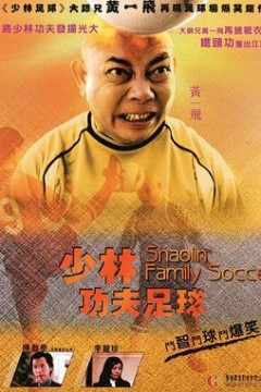 功夫老爸