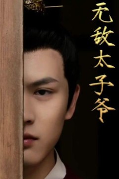 无敌太子爷