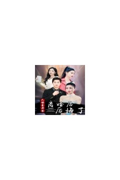 离婚后大明星老婆后悔了