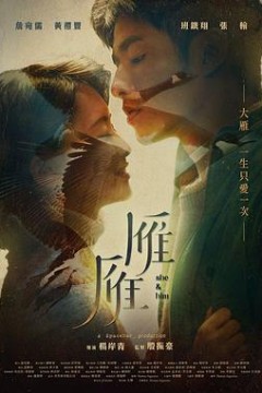 雁雁