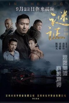 谜证2017
