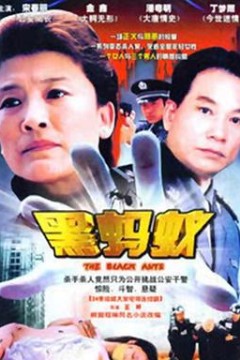 黑蚂蚁