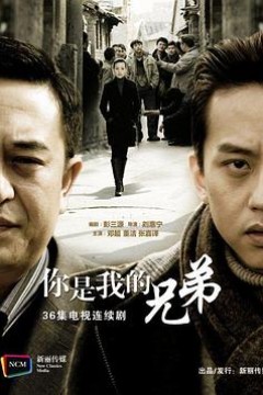 你是我兄弟