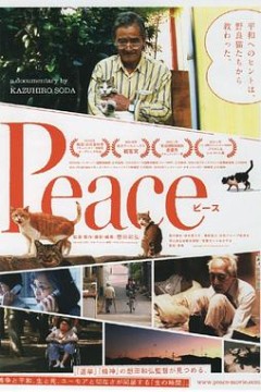 完全和平手册