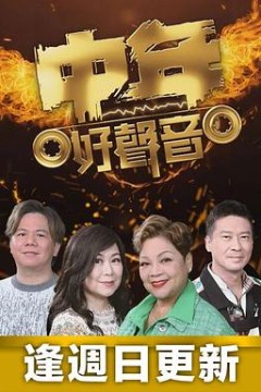 中年好声音中年好聲音