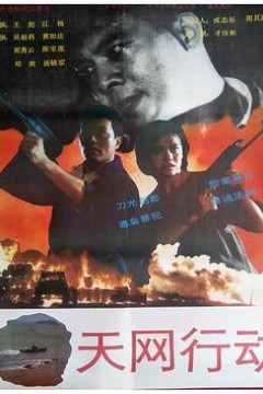天网行动