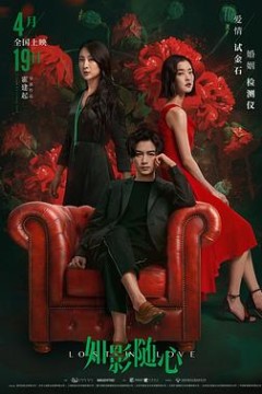 如影随心