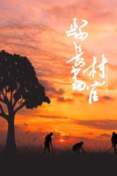 县长当村官