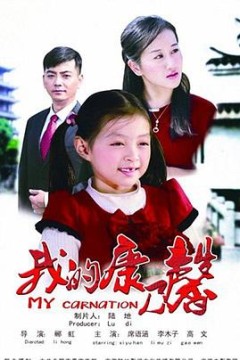 我的康乃馨
