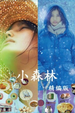 小森林精编版