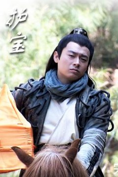护宝