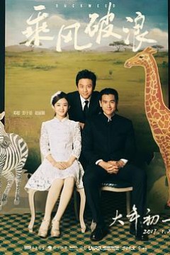 乘风破浪