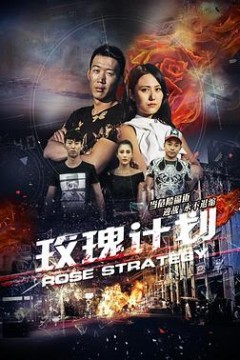 玫瑰计划