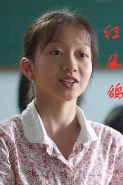 红尾鸽