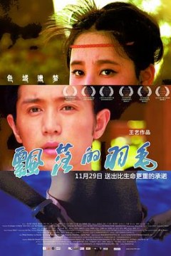 飘落的羽毛