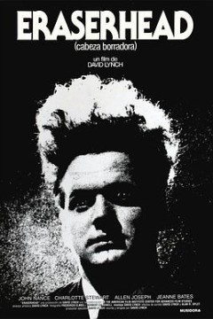 橡皮头