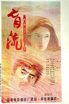 盲流