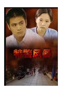 特警风暴
