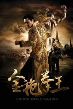 金袍拳王