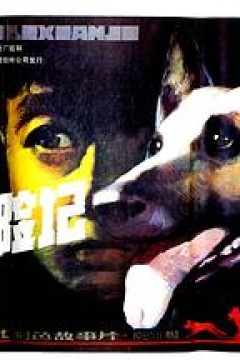 狼犬历险记