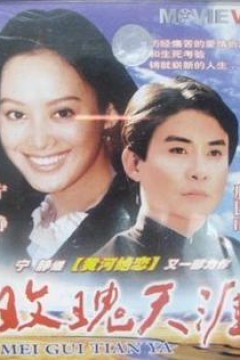 玫瑰天涯