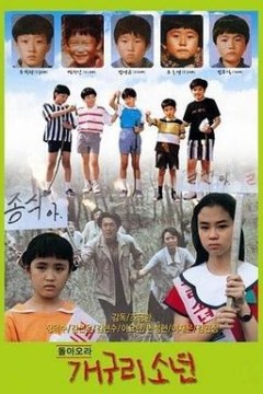 青蛙少年