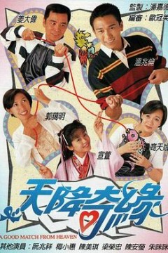 天降奇缘国语