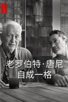 罗伯特·唐尼：自成一格