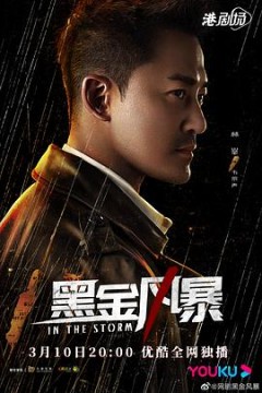 黑金风暴国语
