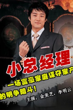 小总经理