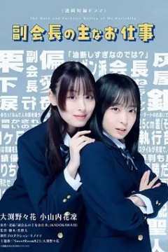 副会长的主要工作