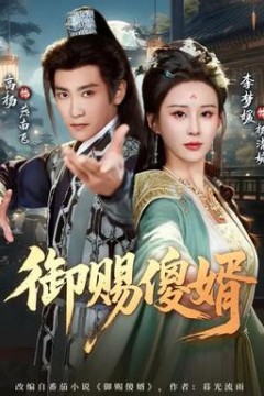 御赐傻婿