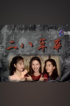 二八年华