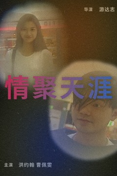 情聚天涯